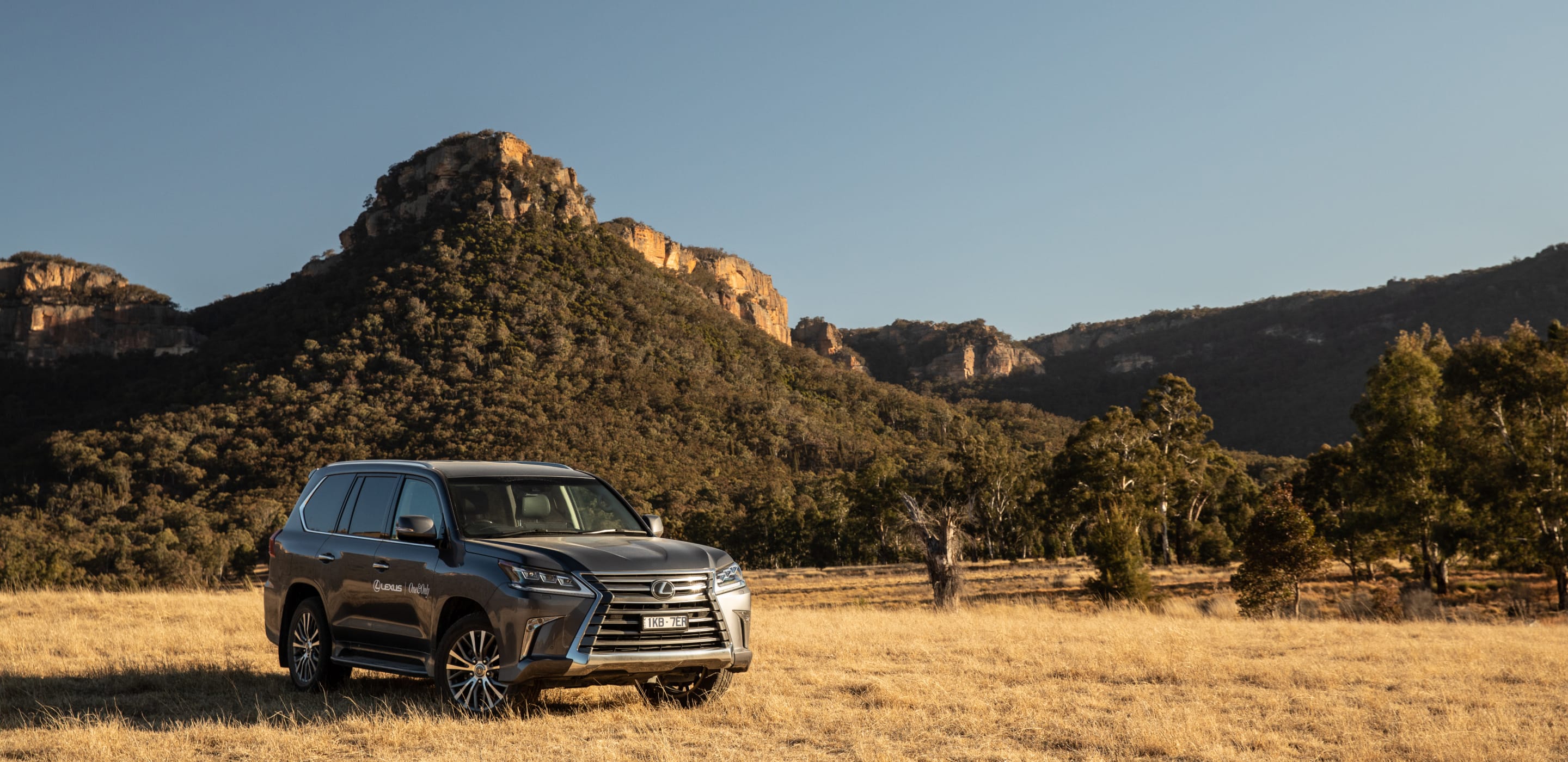 Lexus Encore Owner Benefits
